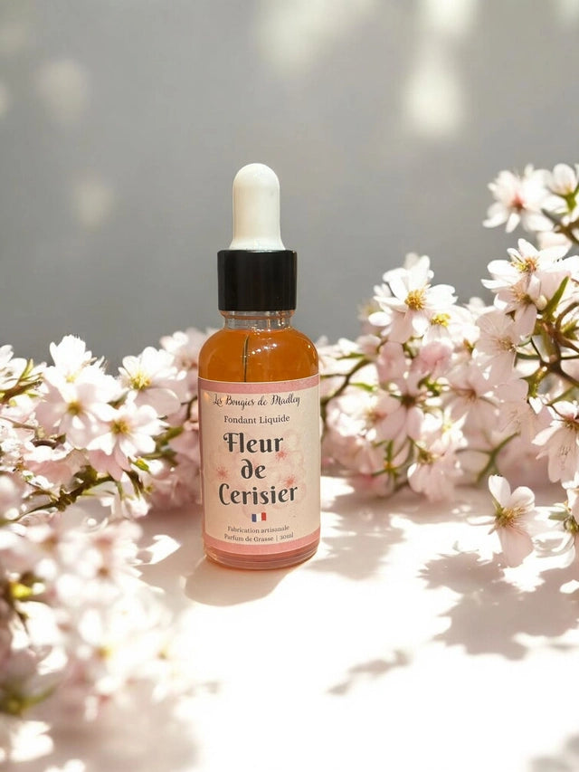 Laisse-toi emporter par nos fondants parfumés Évasion & Bien-être 🌿 : Jasmin, Cappuccino, Sunset, Azalée du Japon. Fait main, doux et relaxant.