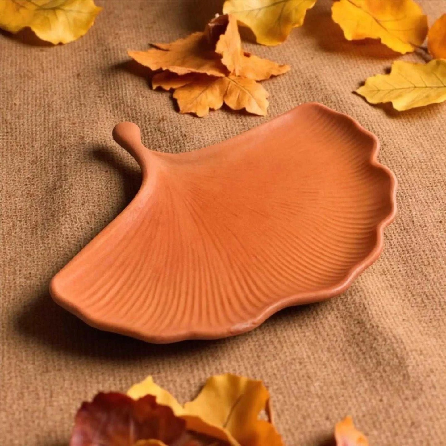 Vide-poche artisanal en forme de feuille de ginkgo terracotta en Jesmonite naturelle matte.