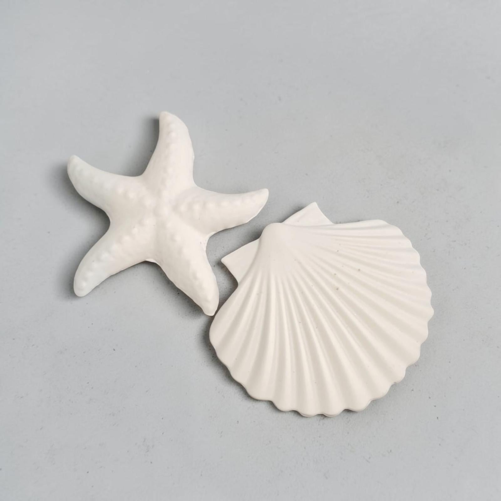 Étoile de mer et coquillage à peindre – activité créative DIY thème océan