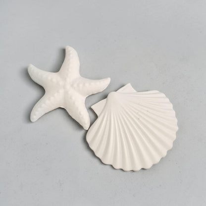 Étoile de mer et coquillage à peindre – activité créative DIY thème océan