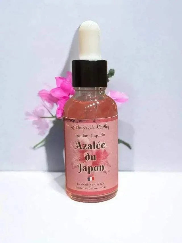 Laisse-toi emporter par nos fondants parfumés Évasion & Bien-être 🌿 : Jasmin, Cappuccino, Sunset, Azalée du Japon. Fait main, doux et relaxant.