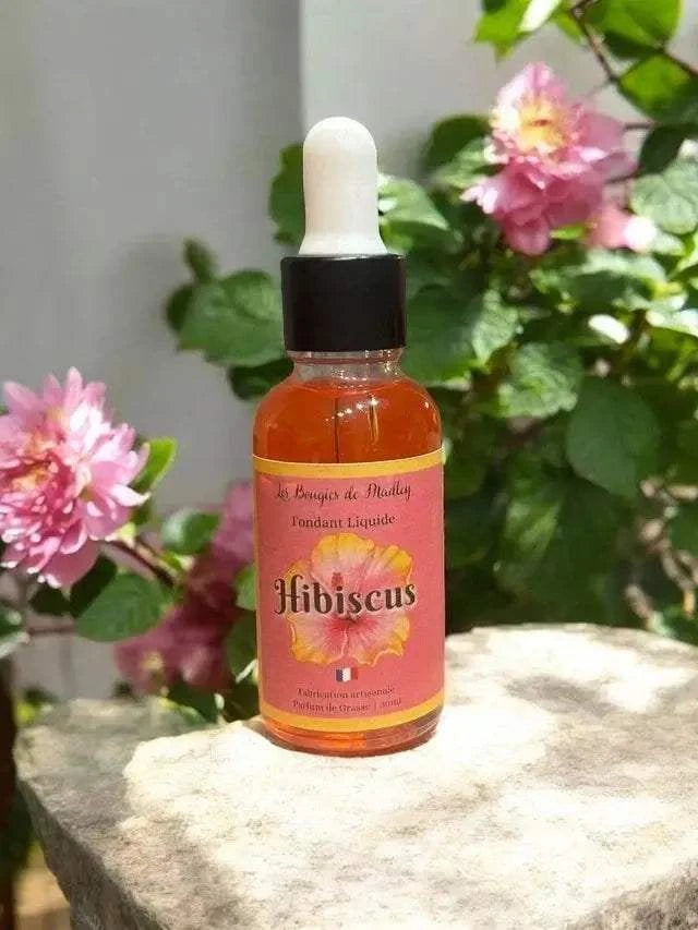Laisse entrer la bonne humeur avec nos fondants parfumés liquides Fruits & Soleil 🍑 ! Pêche Monoï, Mojito, Fruits rouges, Hibiscus... Fait main en France.