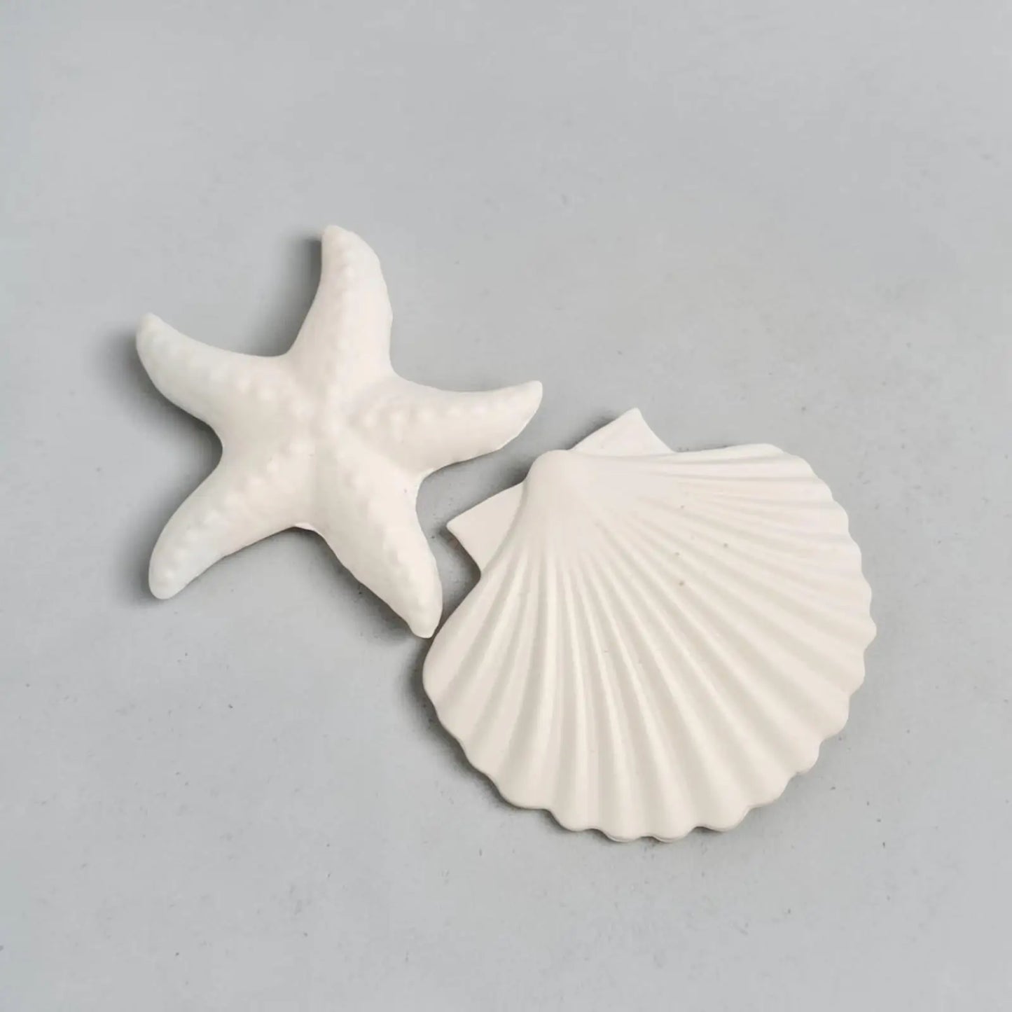 Étoile de mer et coquillage à peindre – activité créative DIY thème océan