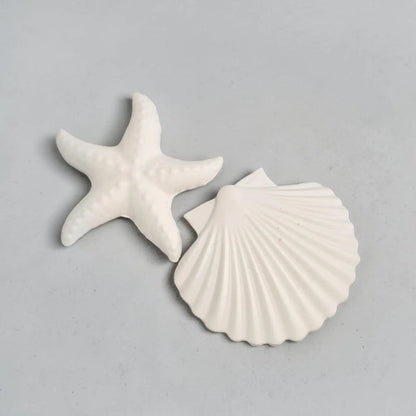 Étoile de mer et coquillage à peindre – activité créative DIY thème océan
