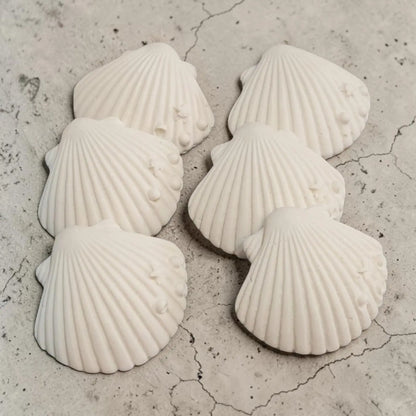 Lot de coquillages décoratifs à peindre – kit créatif thème mer en jesmonite naturelle