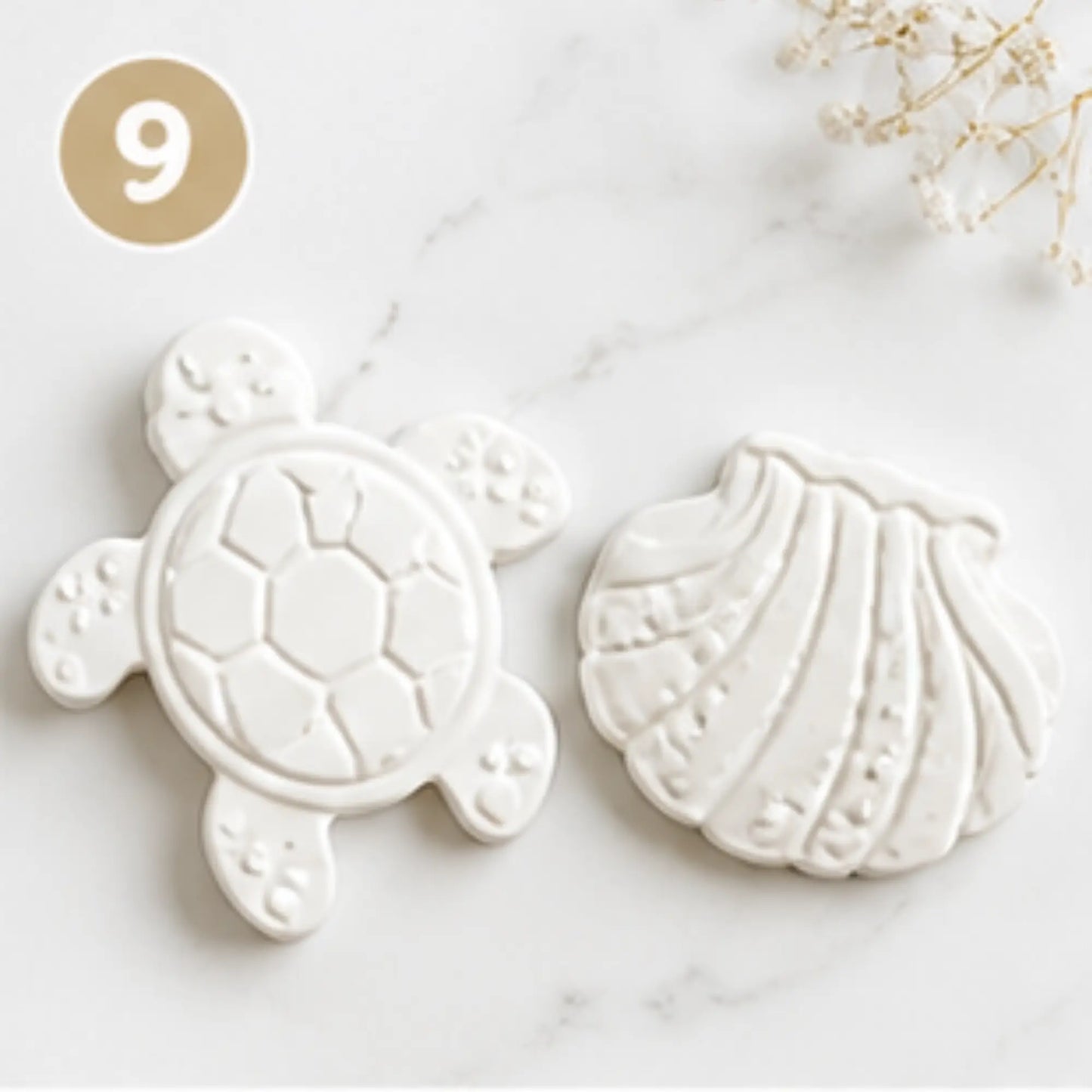 pack créatif tortue coquillage décoration mer à peindre activité enfant DIY