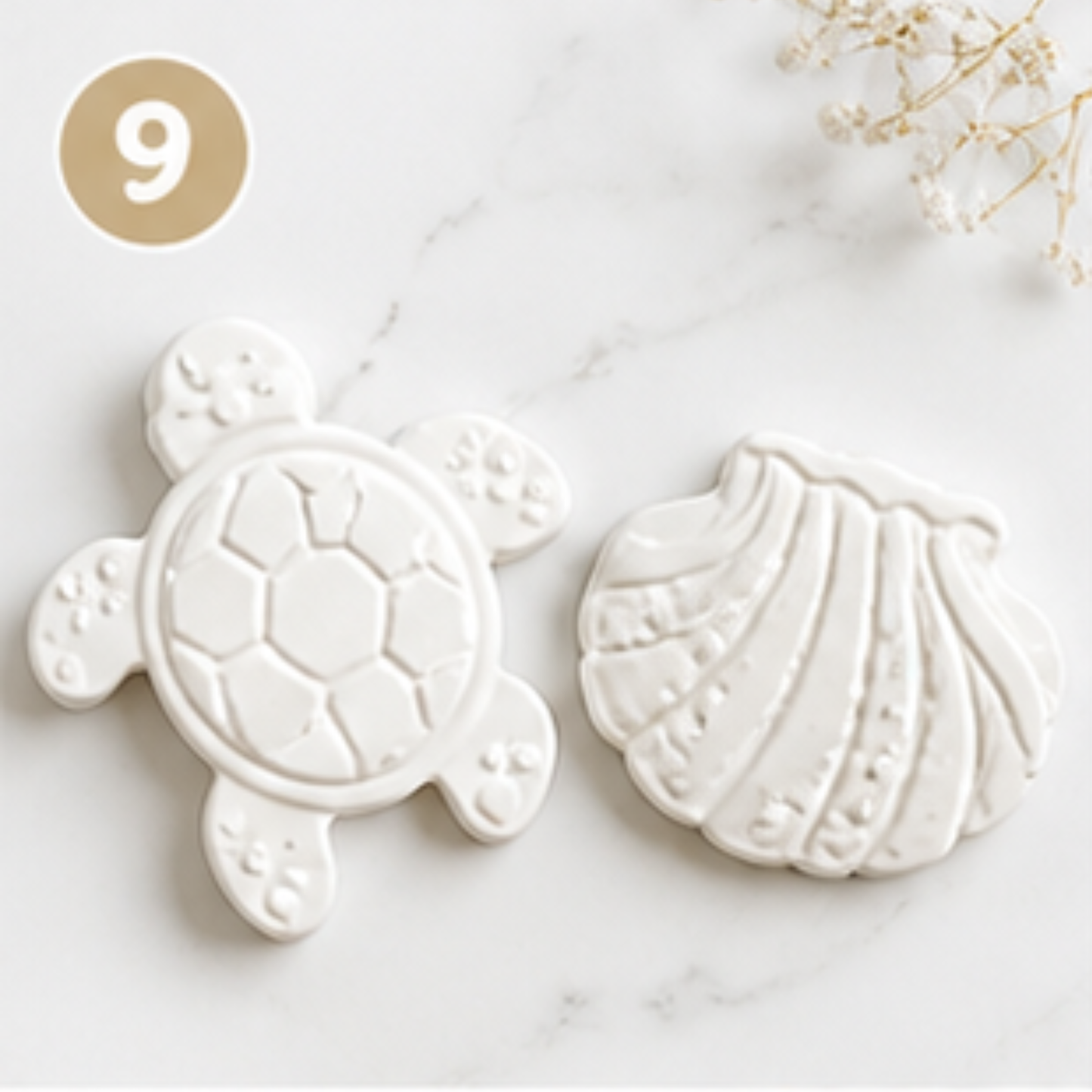 pack créatif tortue coquillage décoration mer à peindre activité enfant DIY