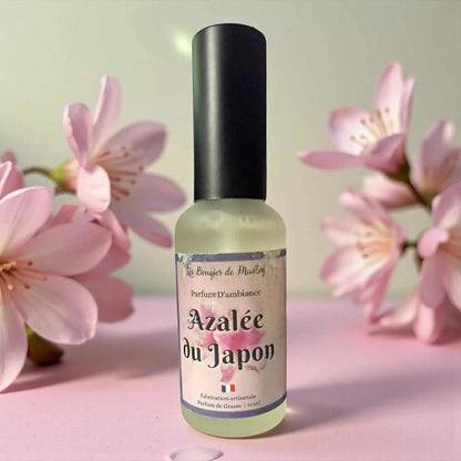 Energie et bonne humeur avec nos parfums d’ambiance Fruits & Soleil : Pêche Monoï, Mojito, Fruits rouges, Hibiscus…