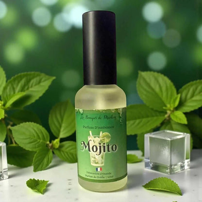Energie et bonne humeur avec nos parfums d’ambiance Fruits & Soleil : Pêche Monoï, Mojito, Fruits rouges, Hibiscus…